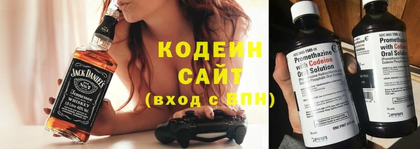 хмурый Елизово