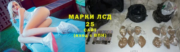 spice Елабуга