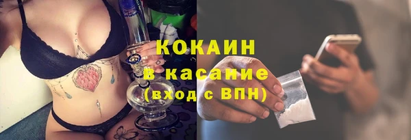 мяу мяу кристалл Ельня