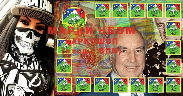 хмурый Елизово