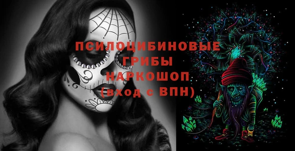 PSILOCYBIN Пестово