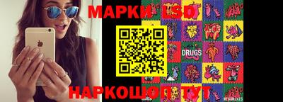 мяу мяу мука Беслан