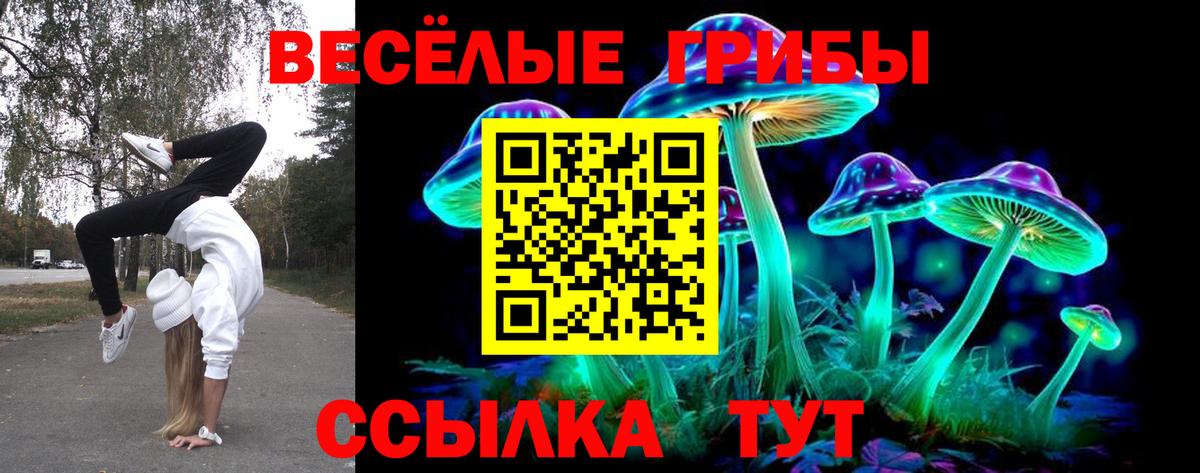 Псилоцибиновые грибы MAGIC MUSHROOMS  Галлюциногенные грибы ЛСД  дарнет шоп  Зеленокумск  Вход с VPN 